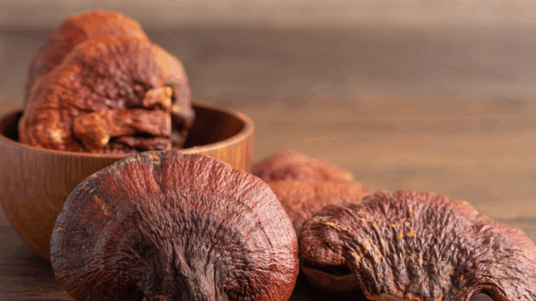<p>Reishi mushrooms</p>
<p>Reishi mushrooms</p>