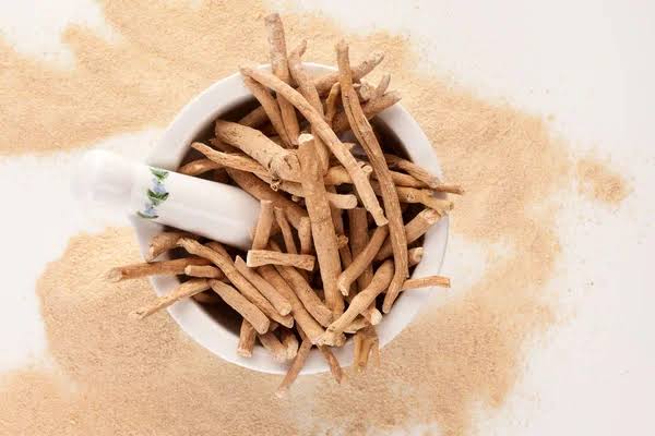 Harnessing the Healing Power of Ashwagandha for Cancer-Related Fatigue