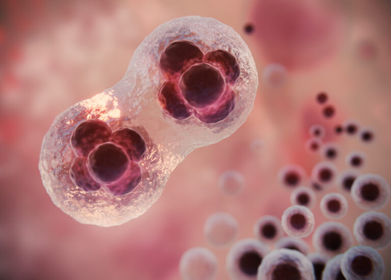 <p>Tumor Organoids and Lab-Grown Models</p>
