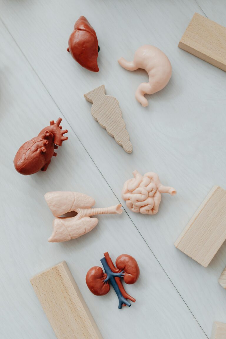 <p>relation between gut and brain health </p>
<p>relation between gut and brain health </p>