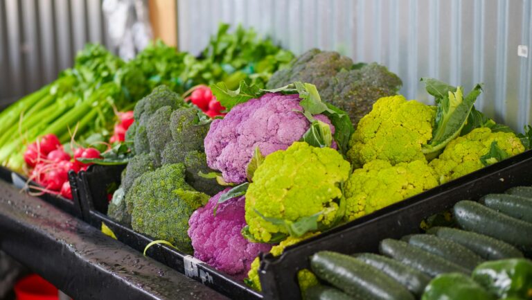 <p>Cuciferous veggies and cancer </p>
