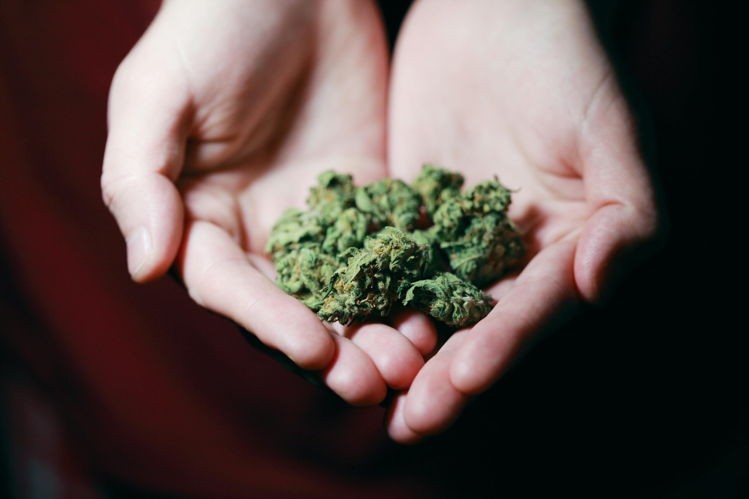 Exploring Alternative Cancer Therapies
