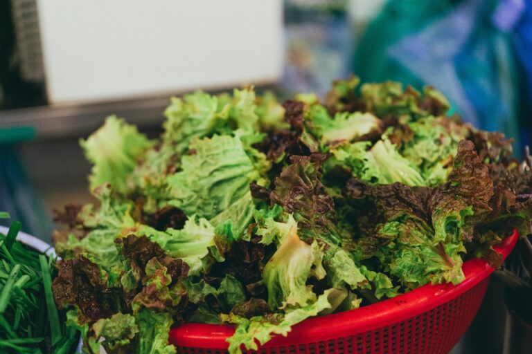<p>anti-cancer diet for cancer patients </p>
<p>anti-cancer diet for cancer patients </p>